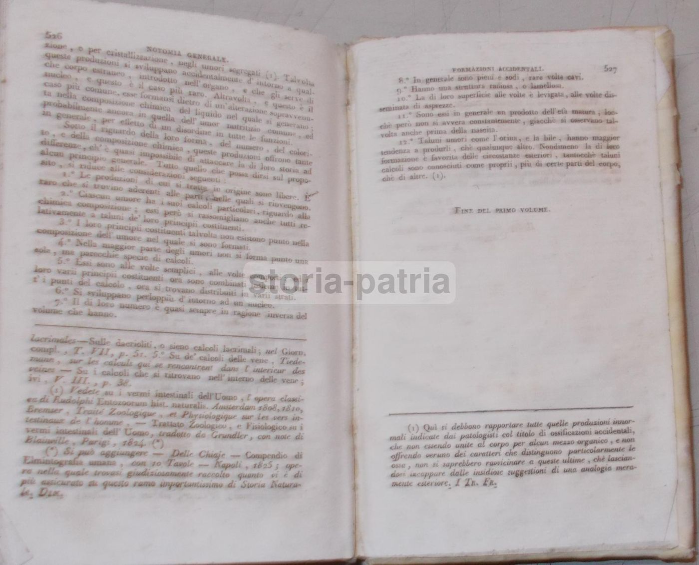 Manuale Di Notomia Generale, Descrittiva E Patologica   Johann Friedrich Meckel   1826