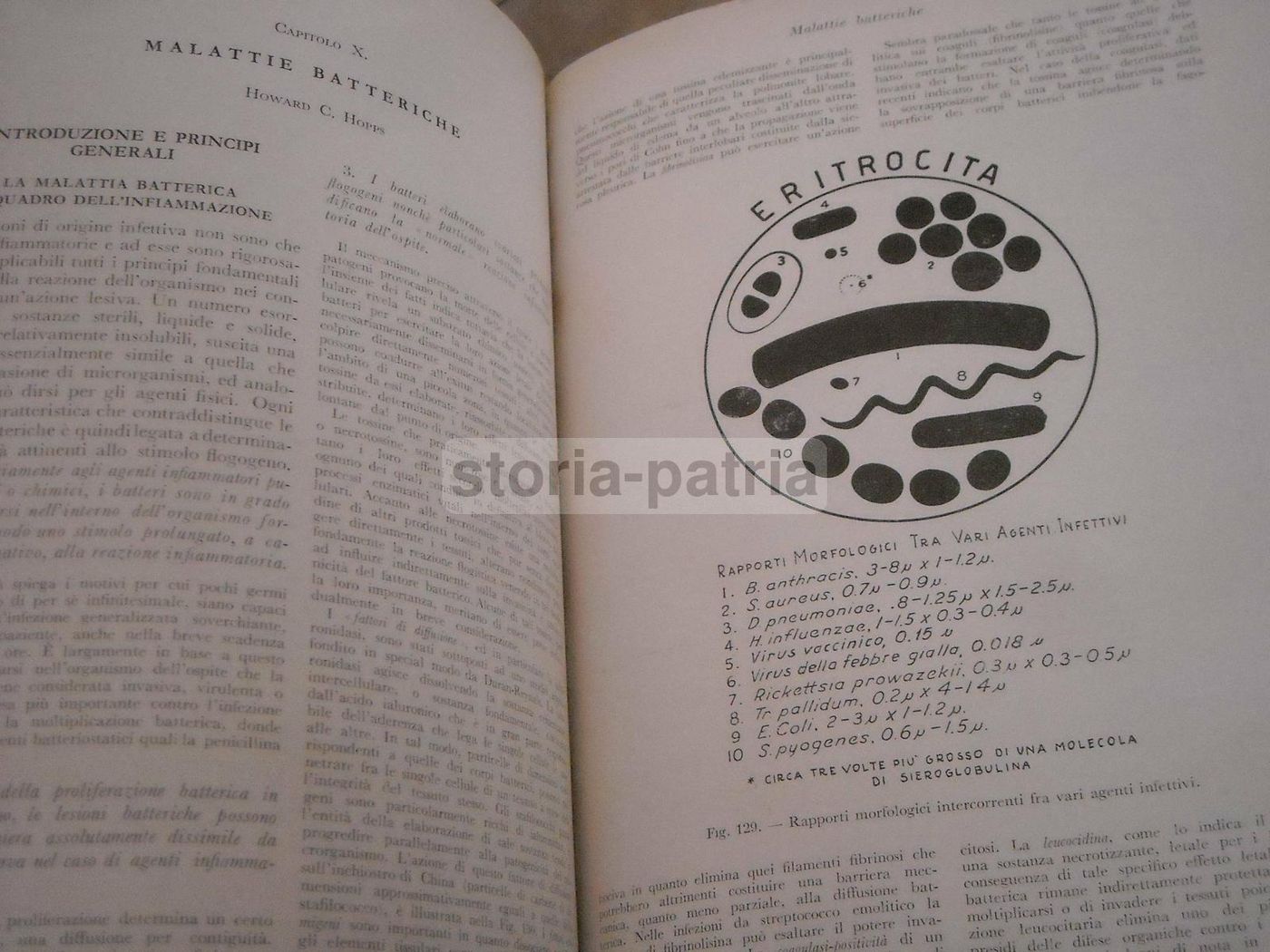 Trattato Di Anatomia Patologica Anderson 3 Volumi SEU 1956