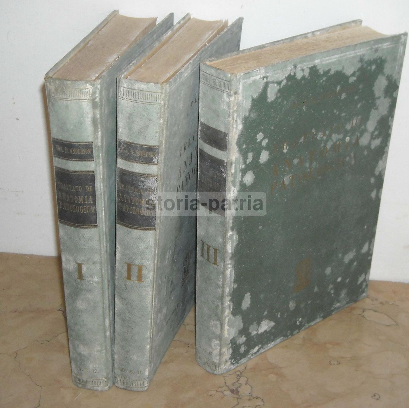 Trattato Di Anatomia Patologica Anderson 3 Volumi SEU 1956