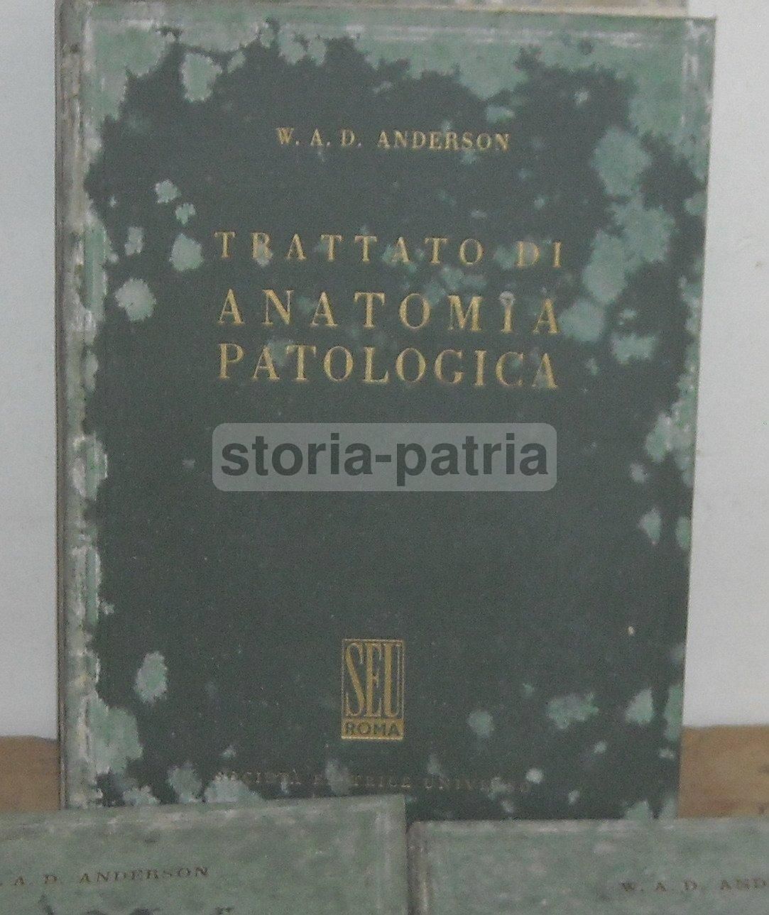 Trattato Di Anatomia Patologica Anderson 3 Volumi SEU 1956