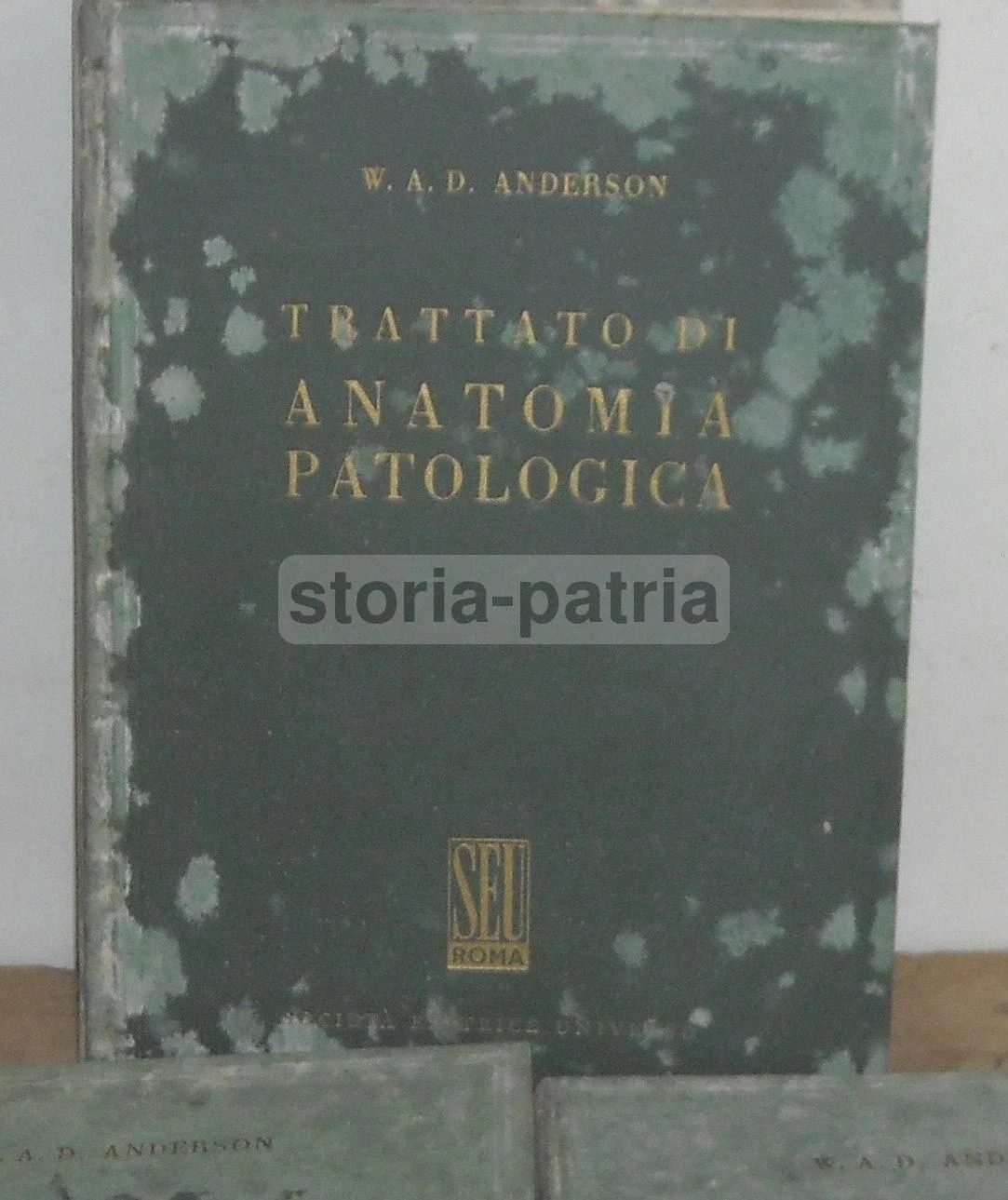 Trattato di Anatomia Patologica Anderson 3 Volumi Seu 1956