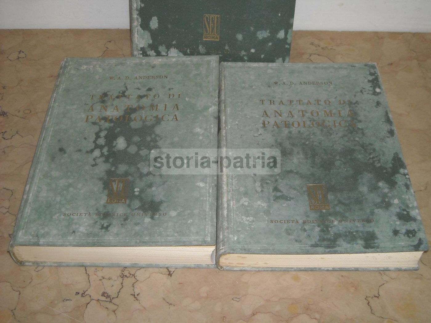 Trattato Di Anatomia Patologica Anderson 3 Volumi SEU 1956