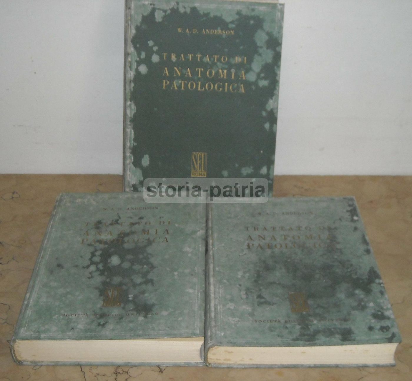 Trattato Di Anatomia Patologica Anderson 3 Volumi SEU 1956