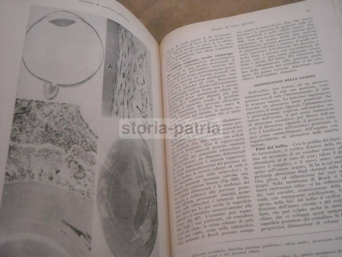 Trattato Di Anatomia Patologica Anderson 3 Volumi SEU 1956