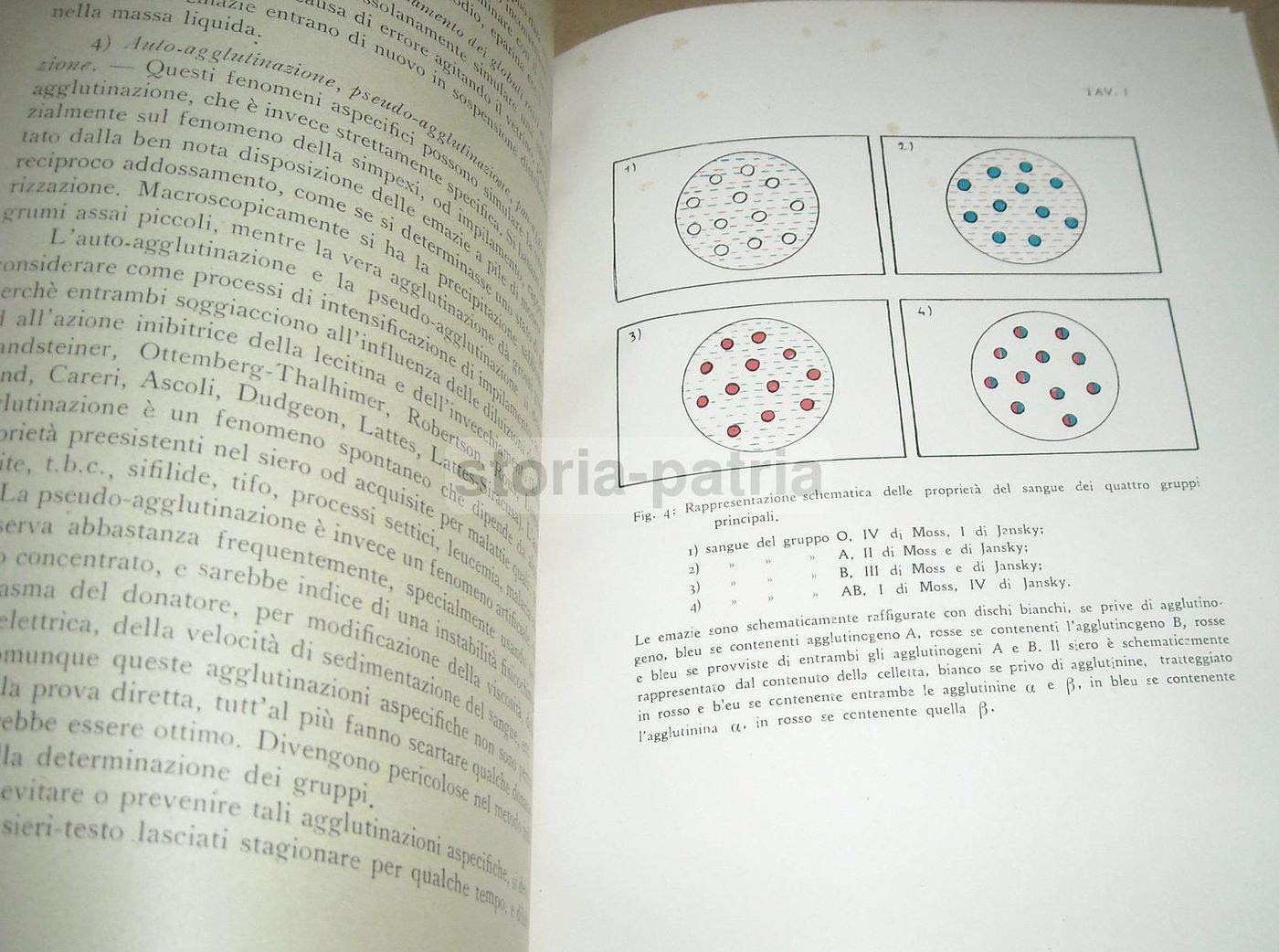 La Trasfusione Del Sangue   Bazzocchi, Bendandi (1948)
