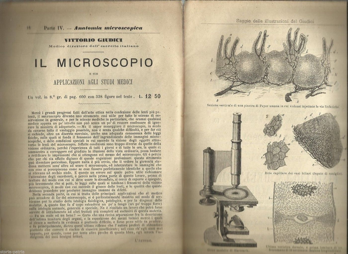 Catalogo Biblioteca Medica Vallardi 1877 Milano Illustrato