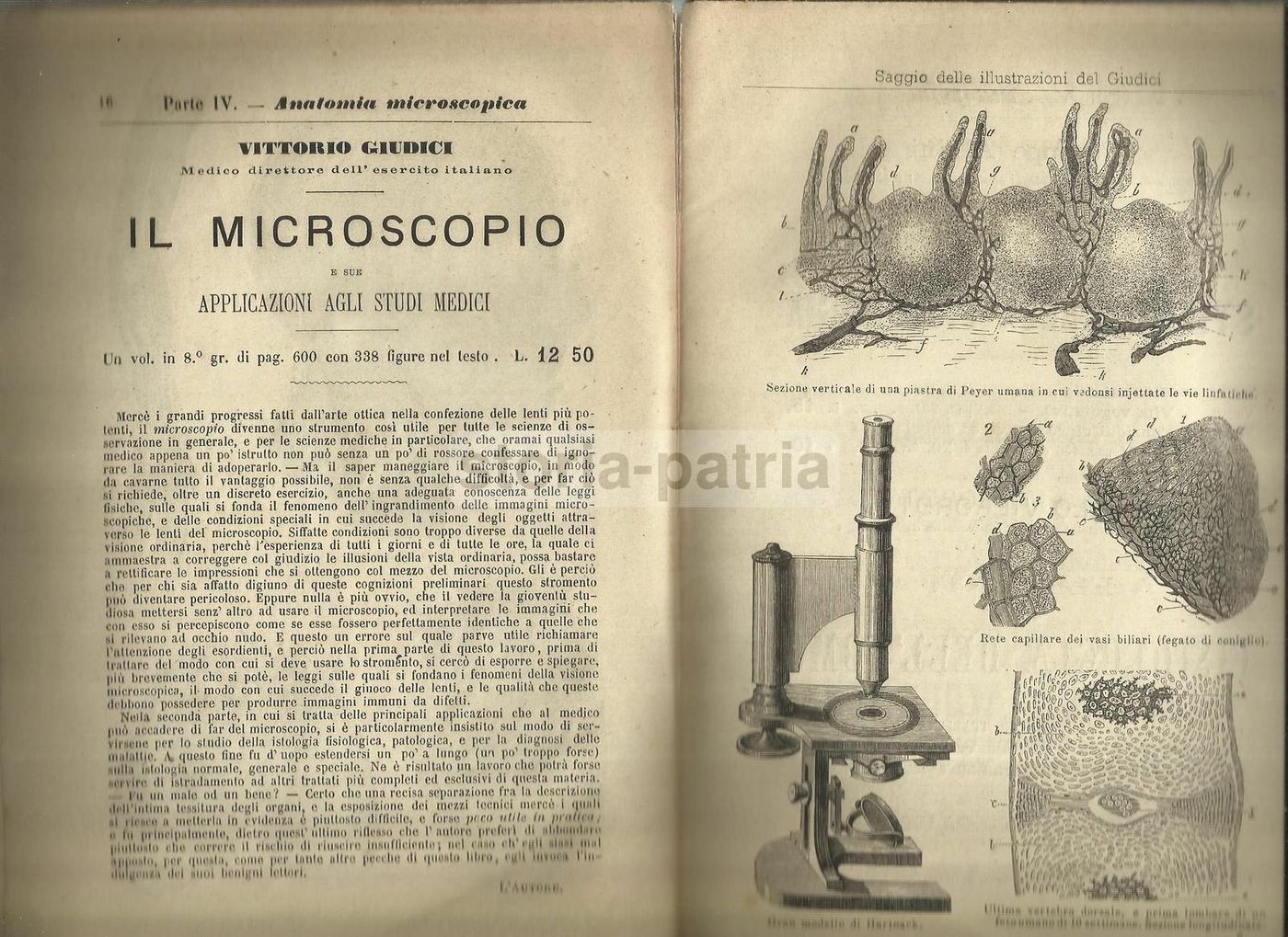 Catalogo Biblioteca Medica Vallardi 1877 Milano Illustrato