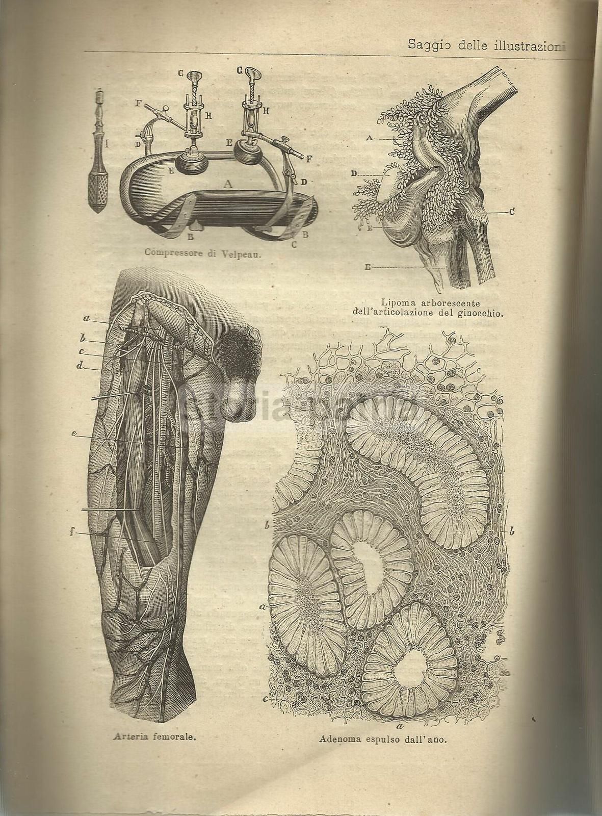 Catalogo Biblioteca Medica Vallardi 1877 Milano Illustrato