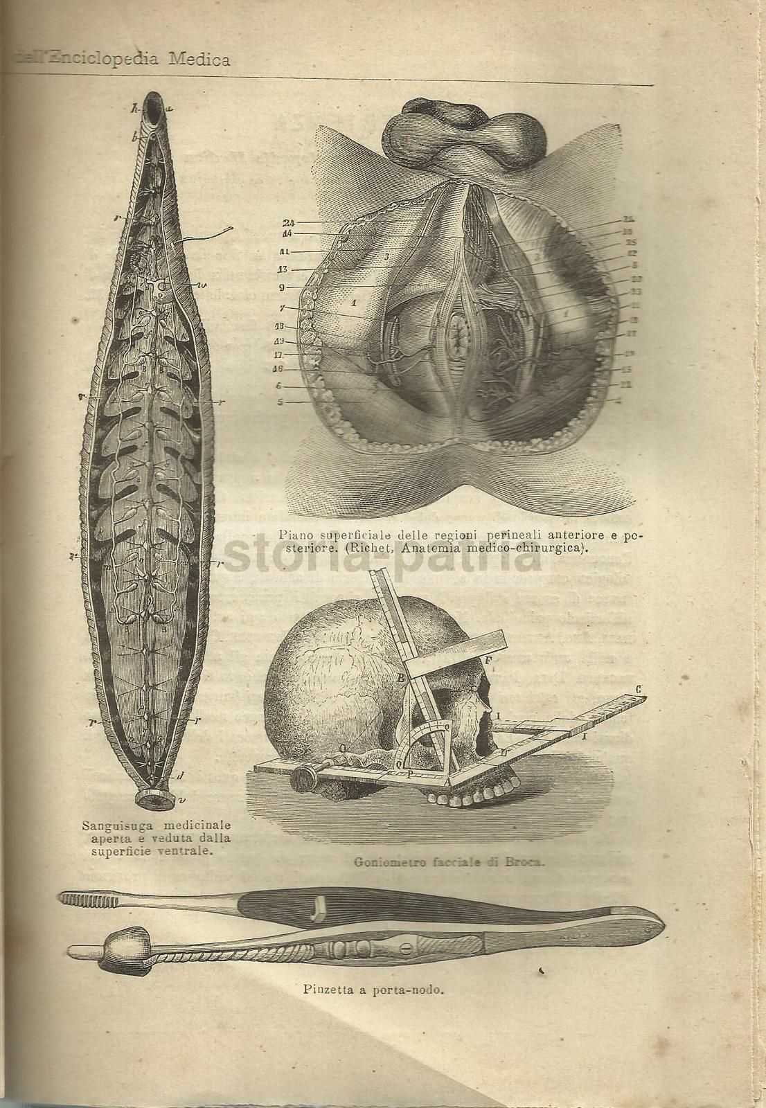 Catalogo Biblioteca Medica Vallardi 1877 Milano Illustrato