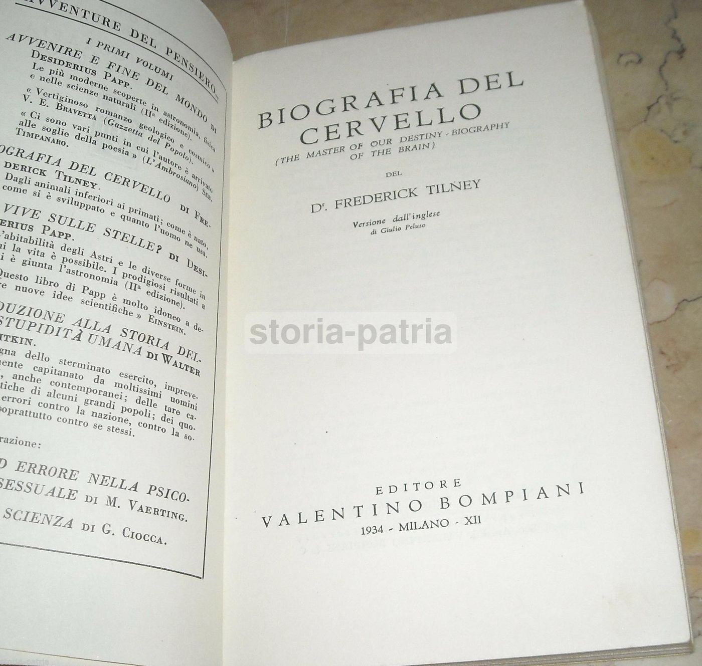 Biografia Del Cervello Di Frederick Tilney, Bompiani 1934