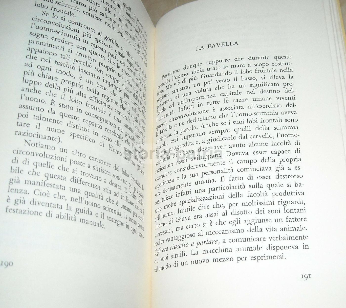 Biografia Del Cervello Di Frederick Tilney, Bompiani 1934