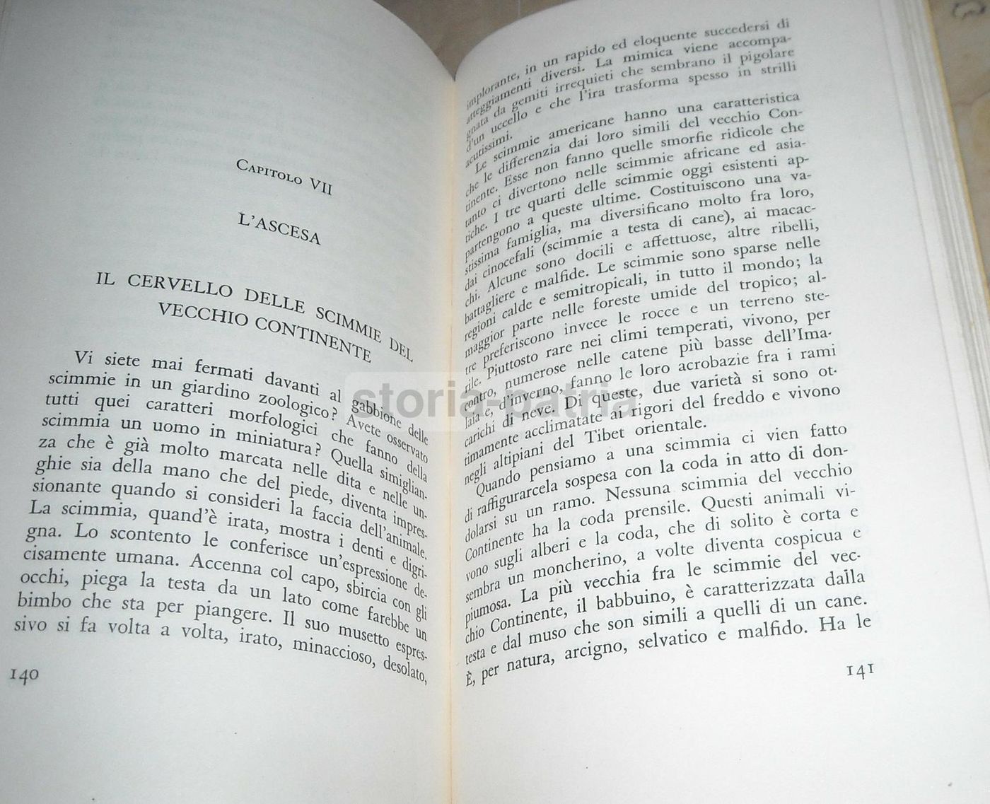 Biografia Del Cervello Di Frederick Tilney, Bompiani 1934