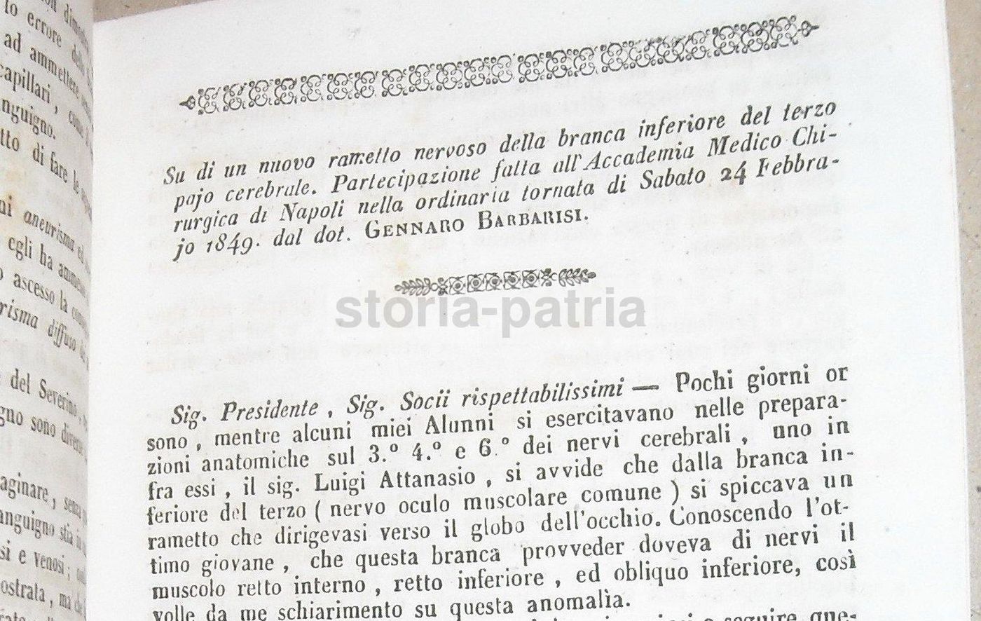 Barbarisi, Ascesso Sanguigno Della Pleura E Bronchite Cronica, Napoli, 1848