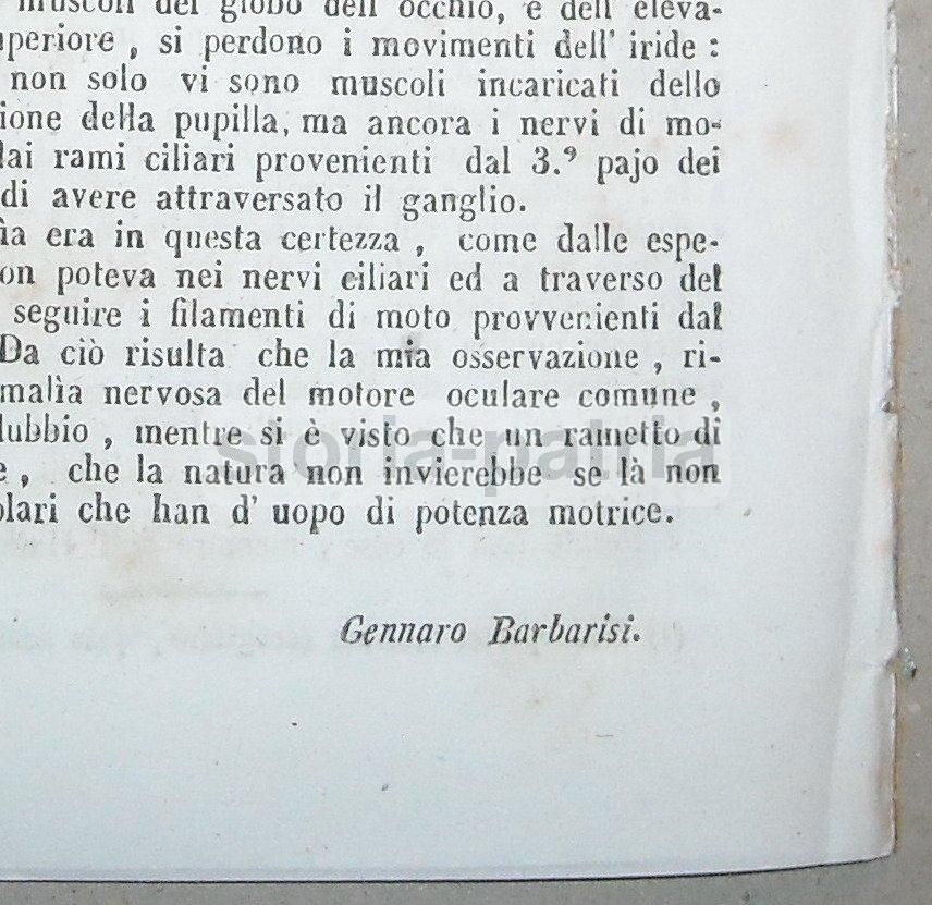 Barbarisi, Ascesso Sanguigno Della Pleura E Bronchite Cronica, Napoli, 1848