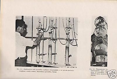 Penicillina, Streptomicina Ed Altri Antibiotici (1947)