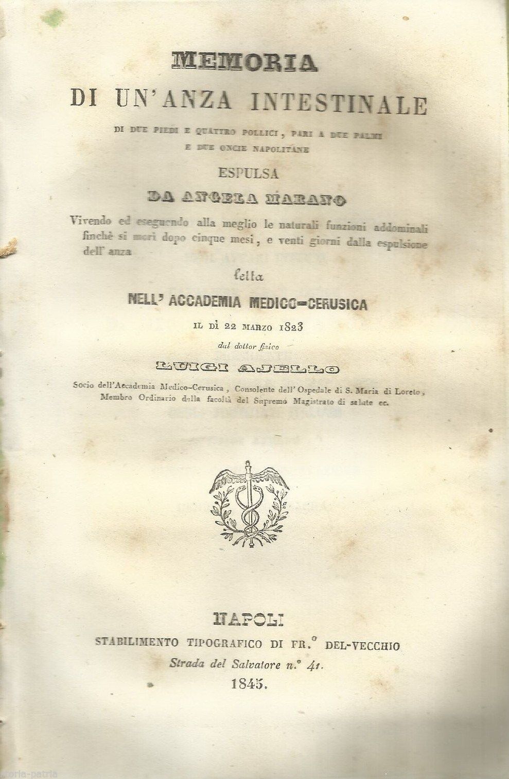 Memoria Anza Intestinale Ajello 1845 Napoli Tavola Anatomica Rara