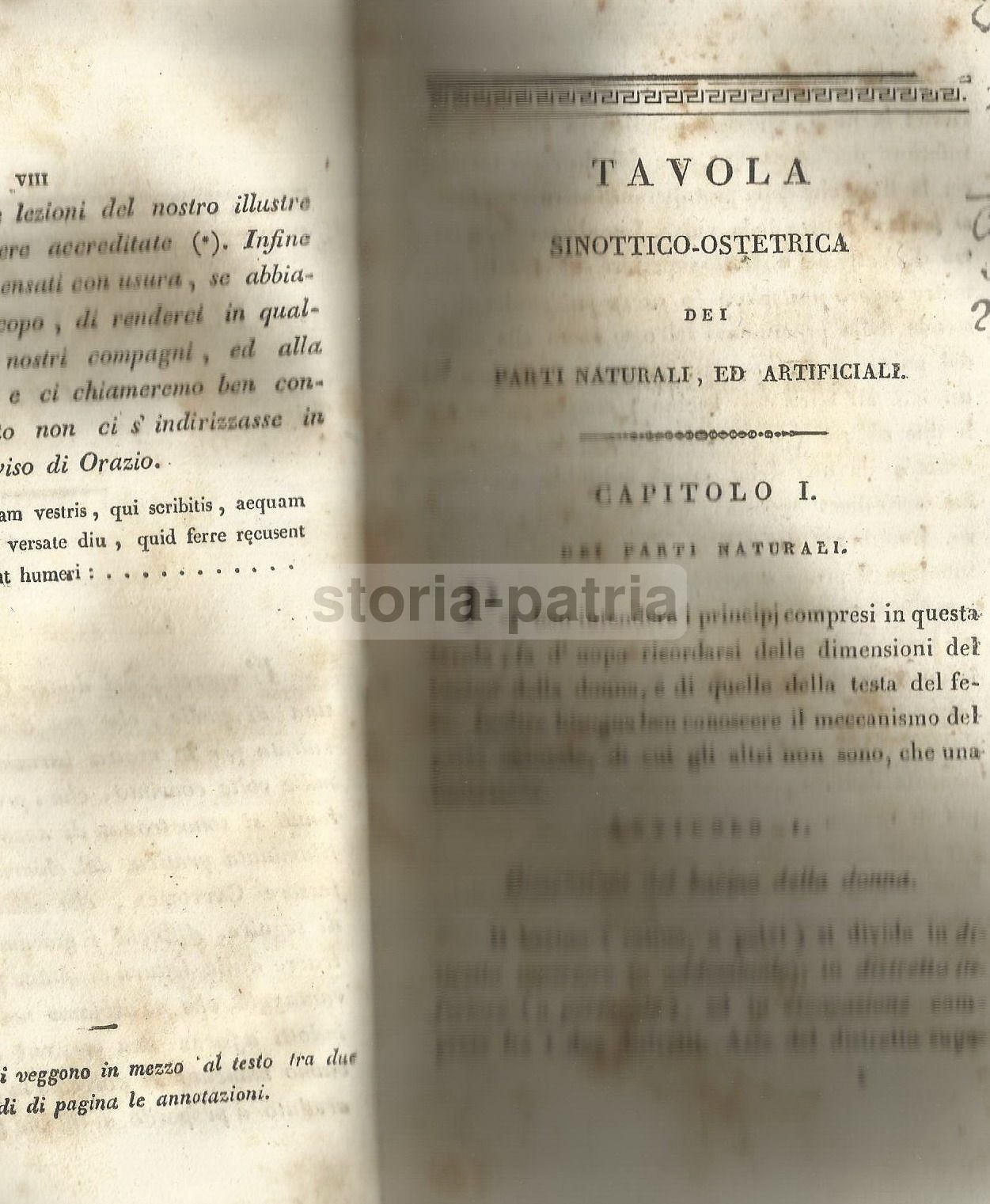 Tavola Ostetrica: Giovanni Sannicola, Napoli, 1829