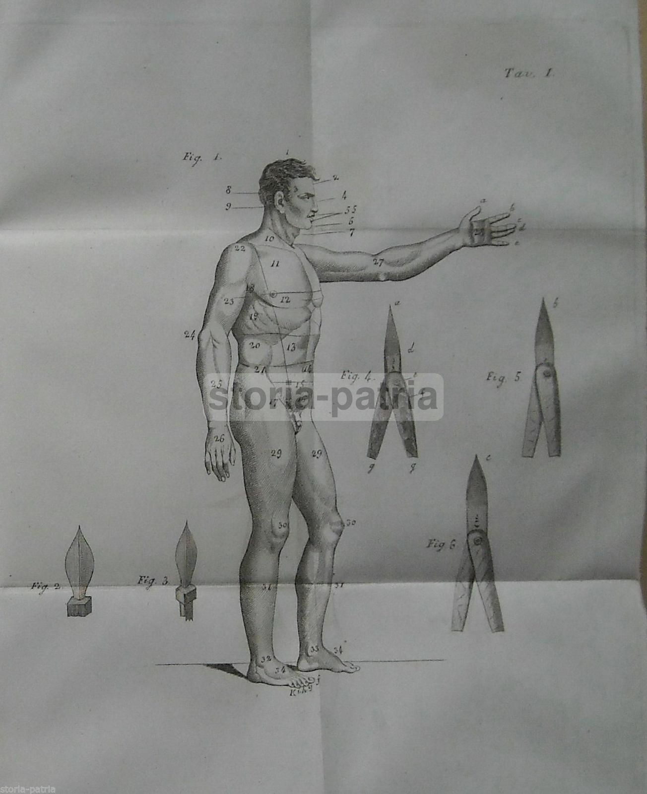 Manuale Di Chirurgia Minore, Monterossi, 1834, Napoli, Medicina Antica