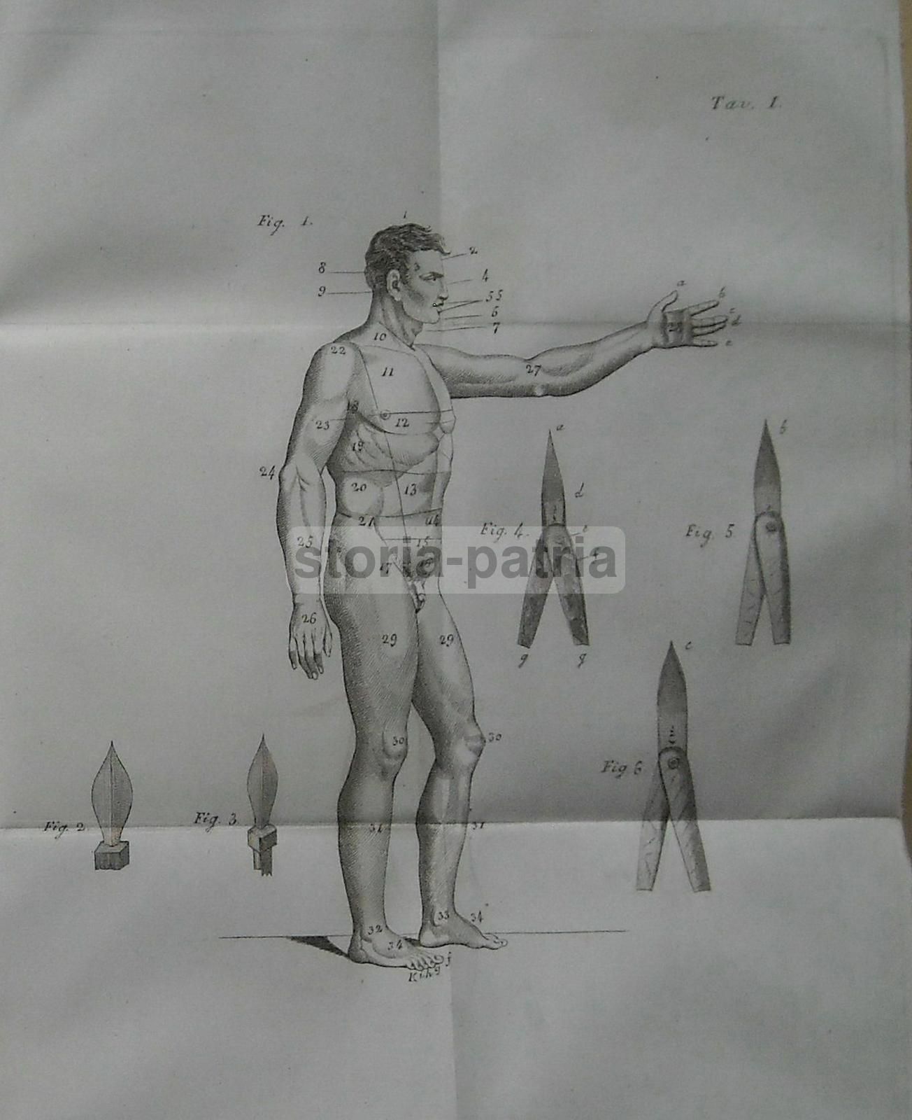Manuale Di Chirurgia Minore, Monterossi, 1834, Napoli, Medicina Antica