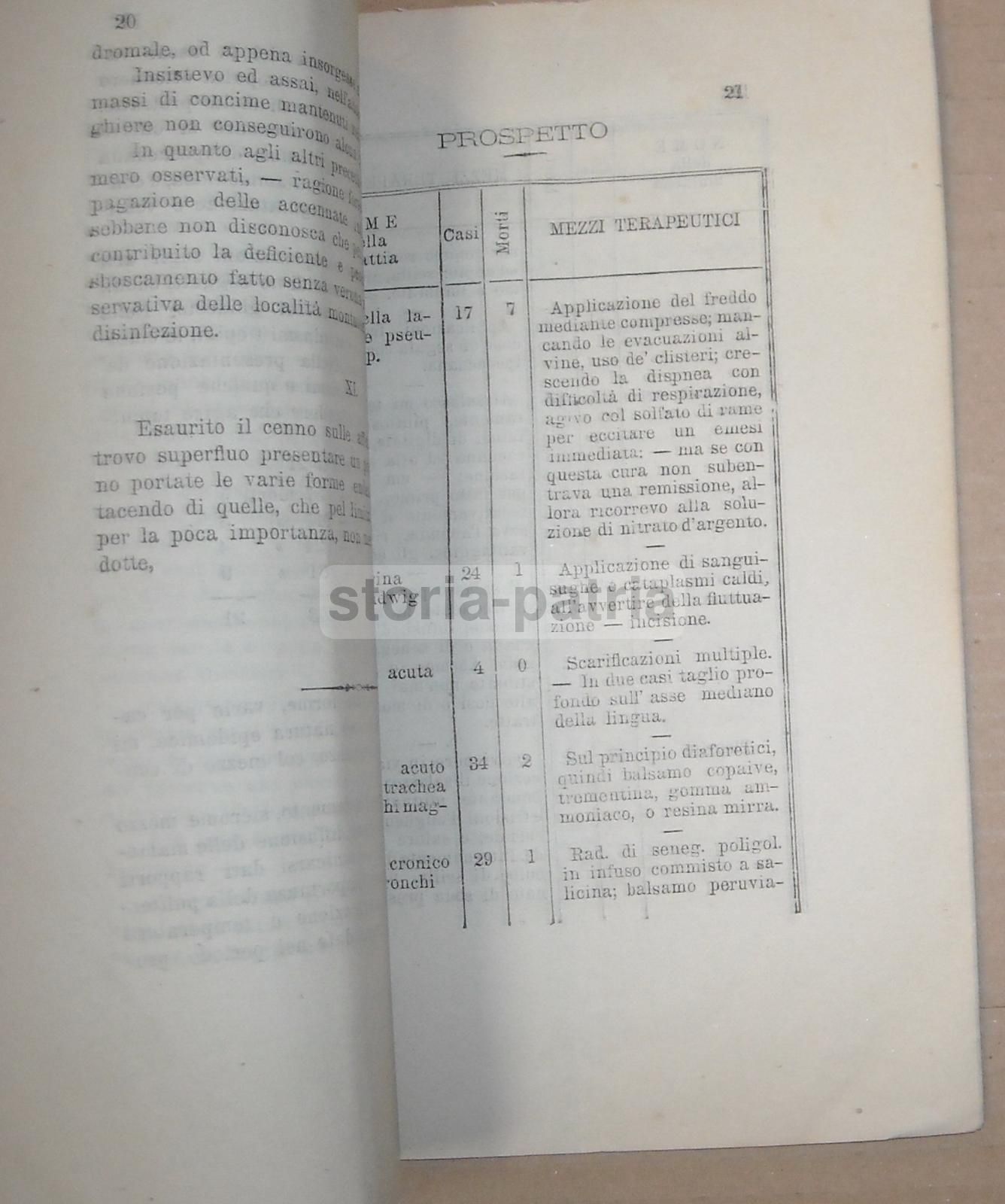 Relazione Medica Pellegrino Parmense 1871 75, Pietro Corsini 1877