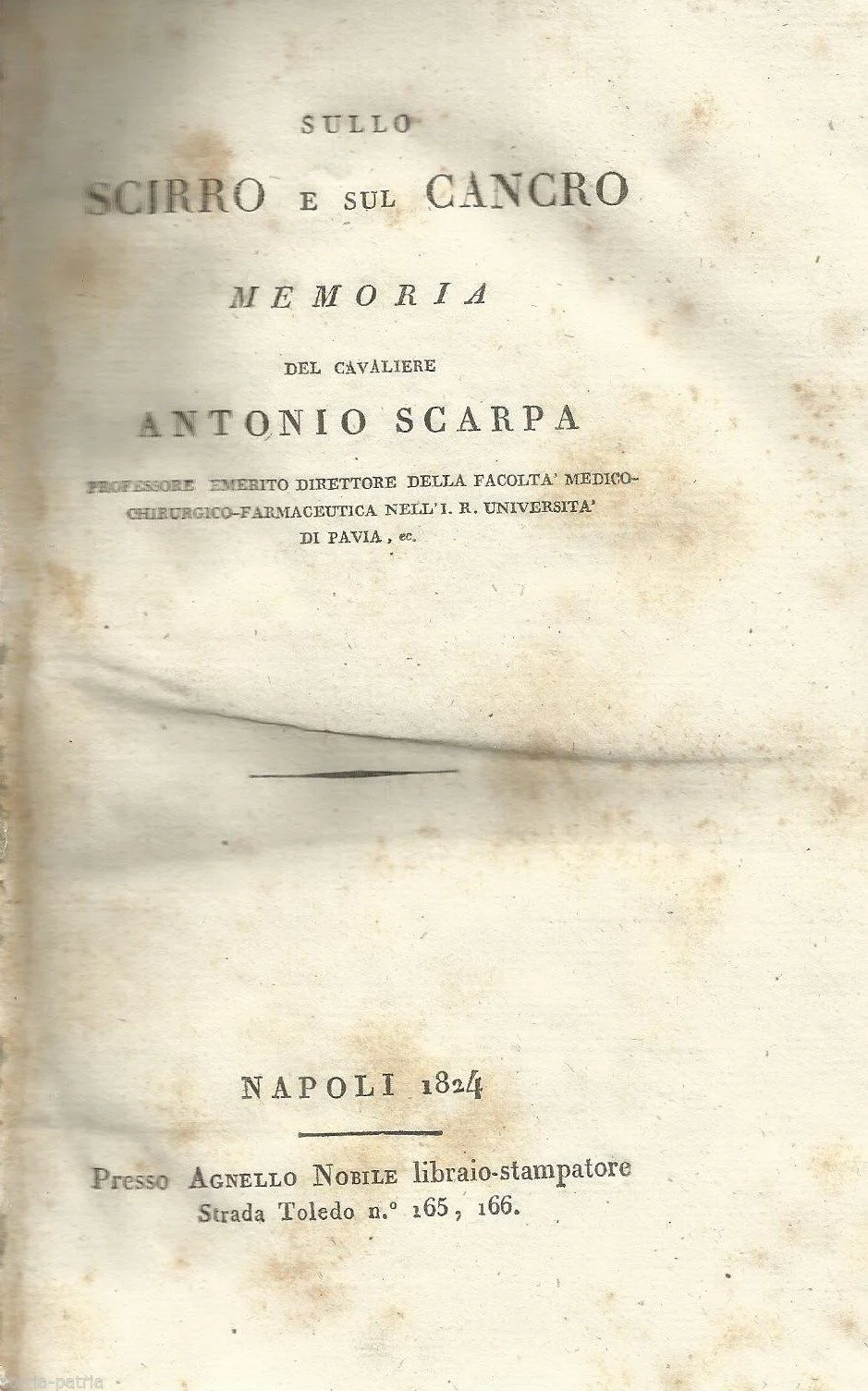 Scarpa on Scirrhus and Cancer, 1824 Naples: Rare Oncology Edition