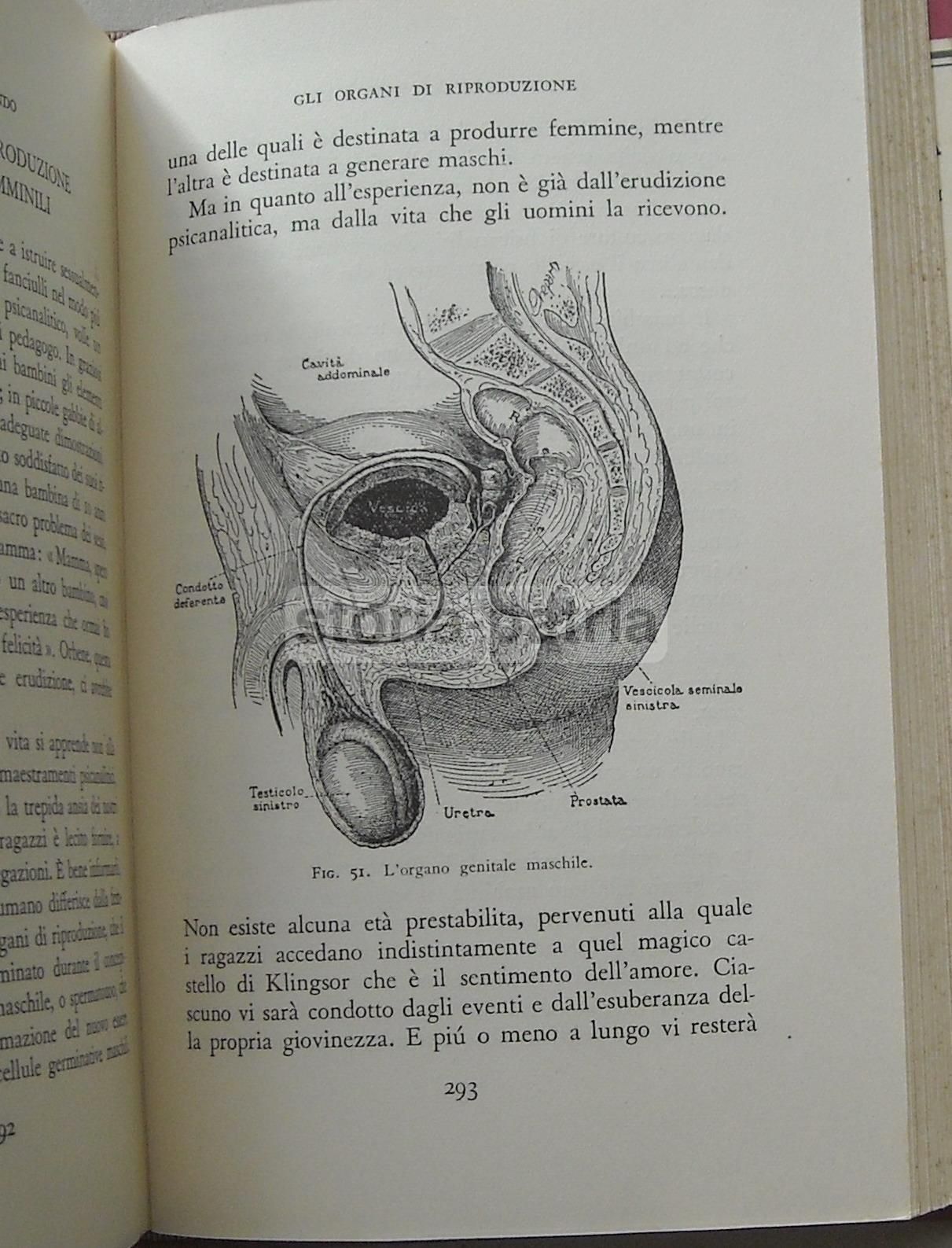 La Fucina Della Nostra Vita: Il Corpo Umano   Logan Clendening, Mario Musella   Mondadori, 1935