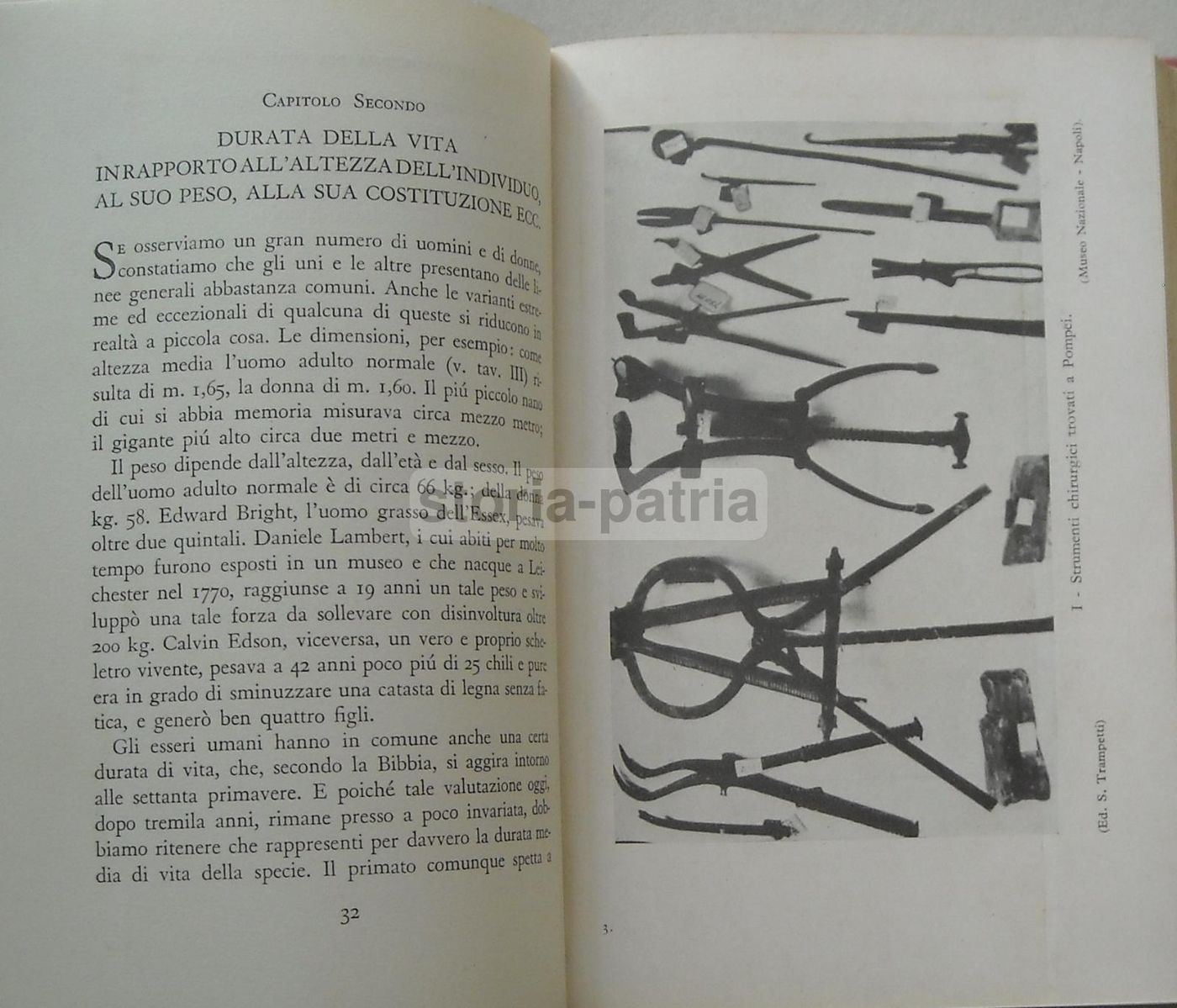 La Fucina Della Nostra Vita: Il Corpo Umano   Logan Clendening, Mario Musella   Mondadori, 1935