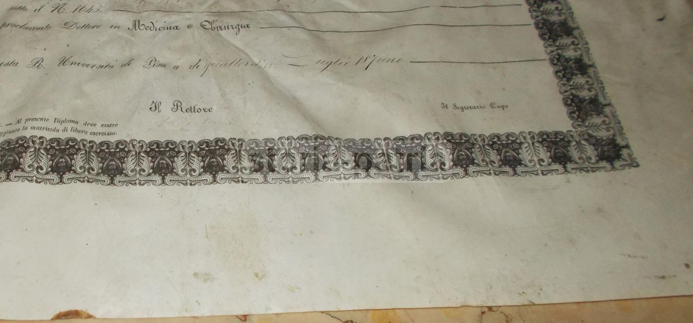 Diploma Di Laurea In Medicina E Chirurgia, Università Di Pisa, 1871
