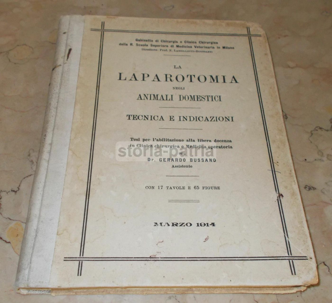 Laparotomia Animali Domestici Bussano 1914 Veterinaria Illustrato