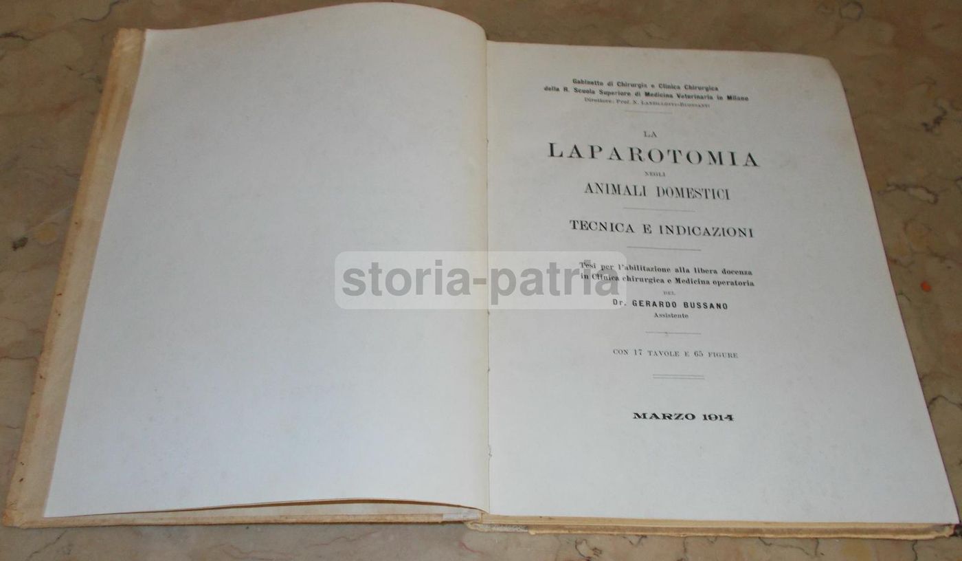 Laparotomia Animali Domestici Bussano 1914 Veterinaria Illustrato