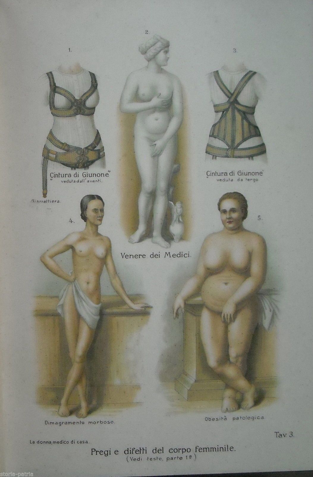 Stampa Antica Corpo Femminile: Venere De' Medici E Cintura Di Giunone, 1920
