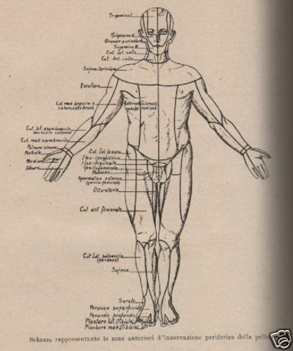 Semeiotica E Diagnostica Medica   Sisto, 1945, Torino, Minerva