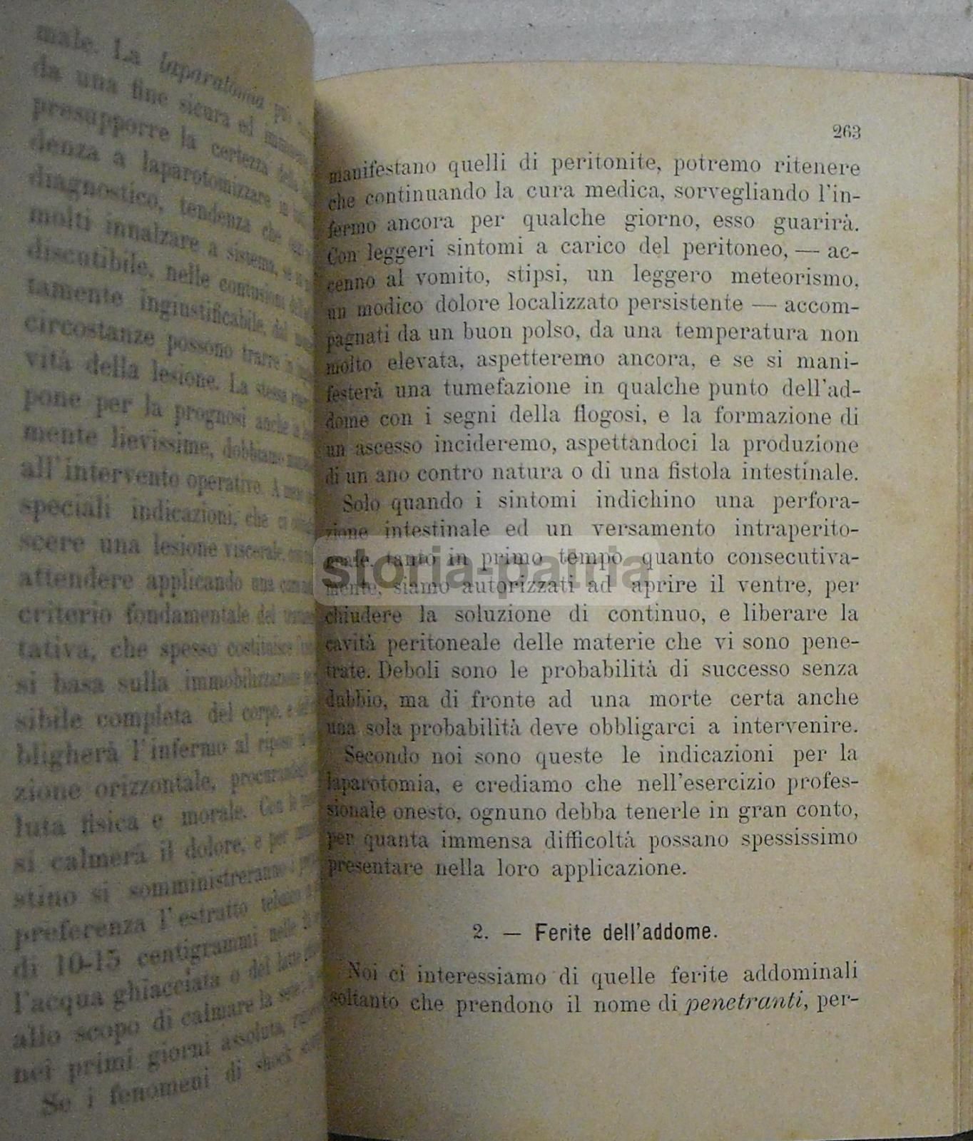 Le Malattie Con Imminente Pericolo Di Vita, Lapponi   Moglie, 1896