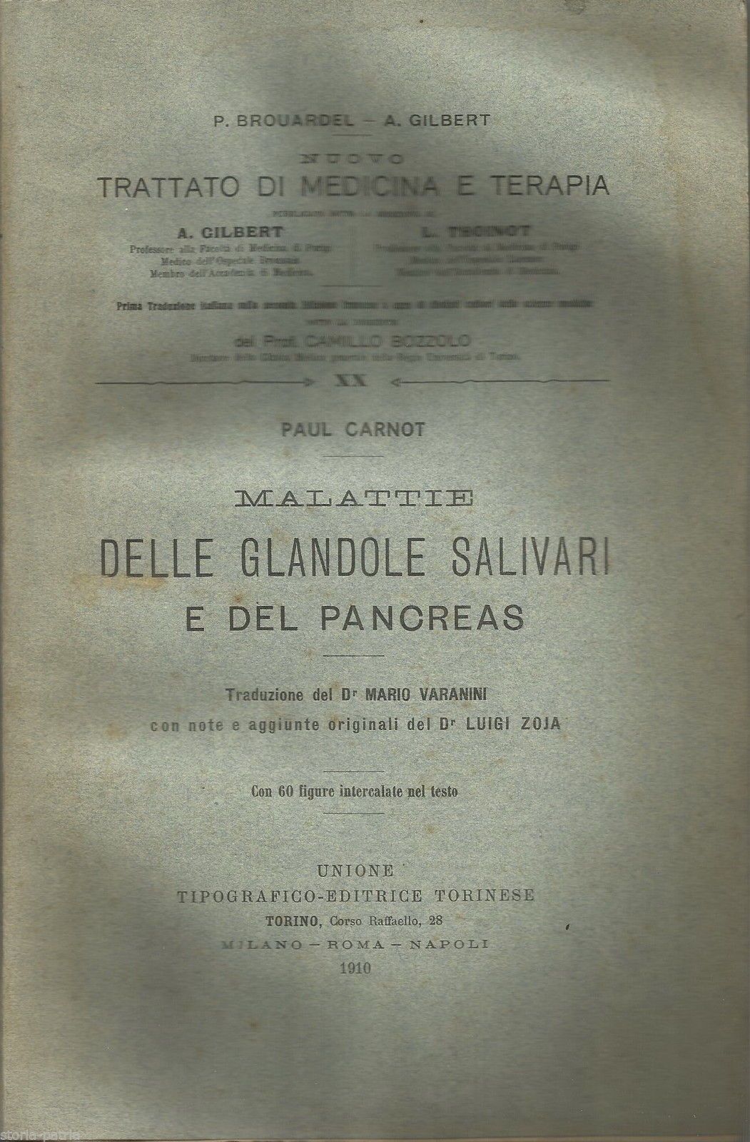 Malattie Delle Ghiandole Salivari E Del Pancreas, Paul Carnot, Utet, 1910