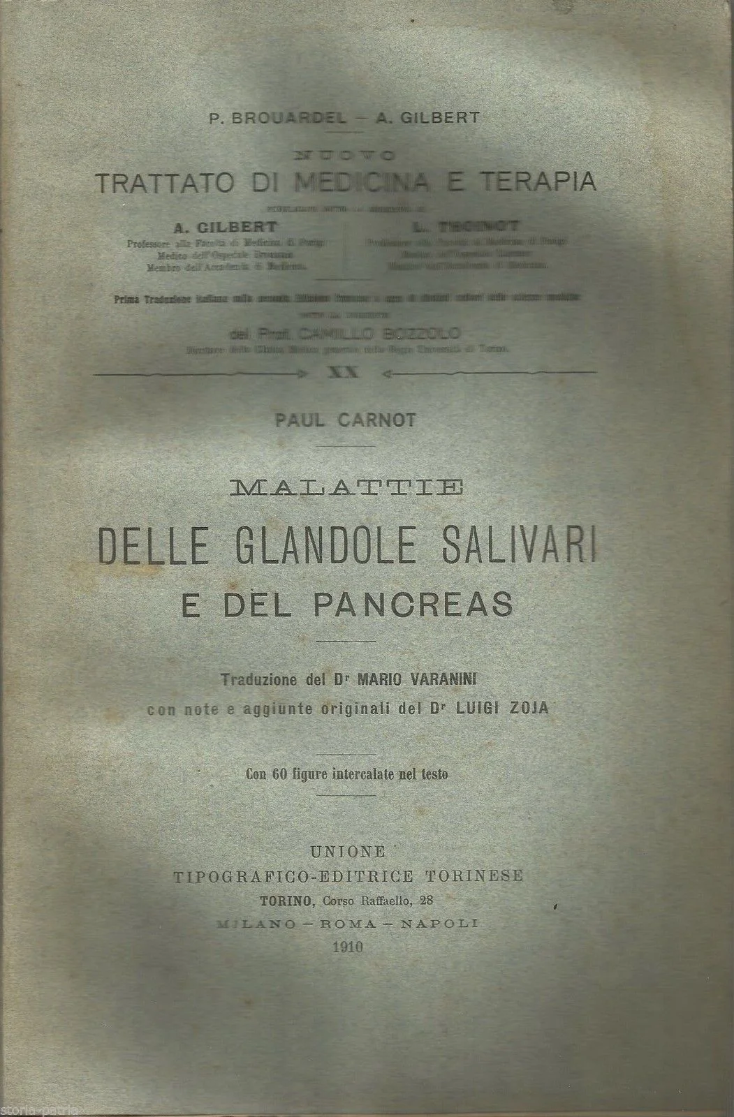 Diseases of the Salivary Glands and Pancreas, Paul Carnot, Utet, 1910