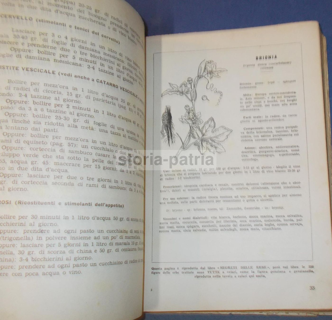 Per Curarsi Con Le Erbe. Francesco Borsetta, 1957. Erboristeria