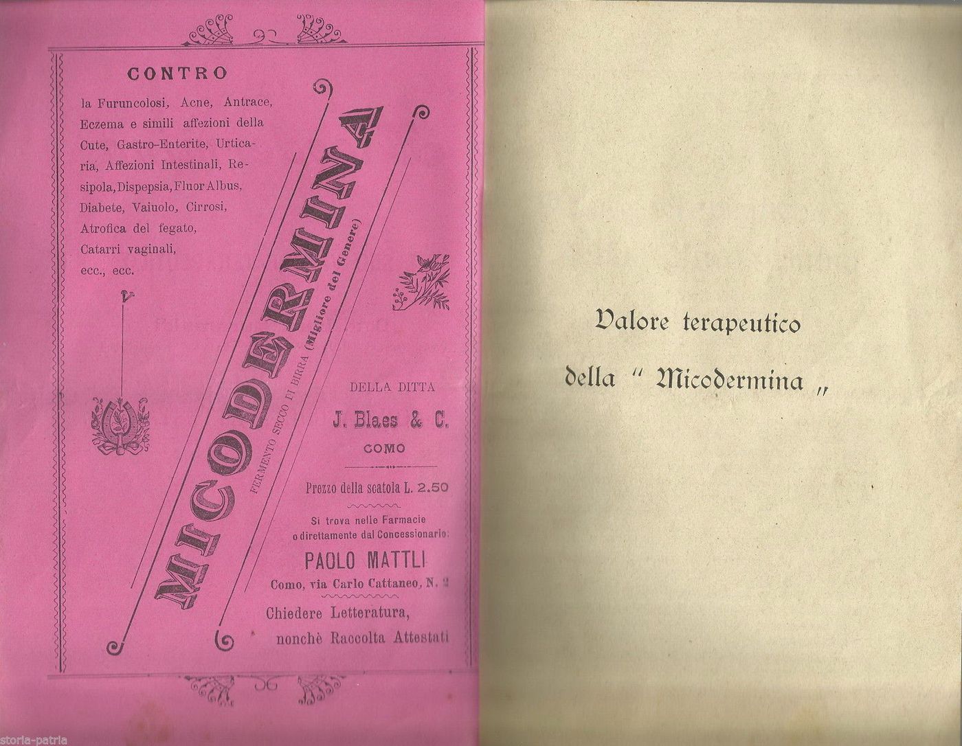 Micodermina Maramaldi 1908: Medicina E Farmacia (Como, Blaes & Mattli)