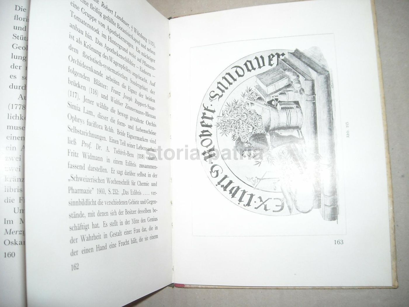 Exlibris Deutscher Apotheker Walter Zimmermann 1925   Farmacia