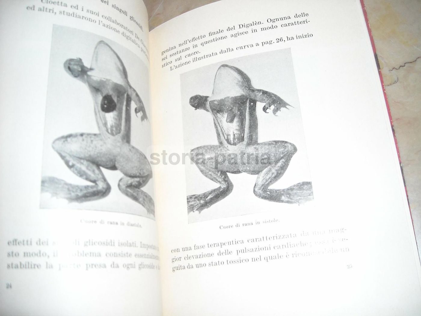 Terapia Digitalica Roche 1932: Sardegna, Cardiologia E Farmacia