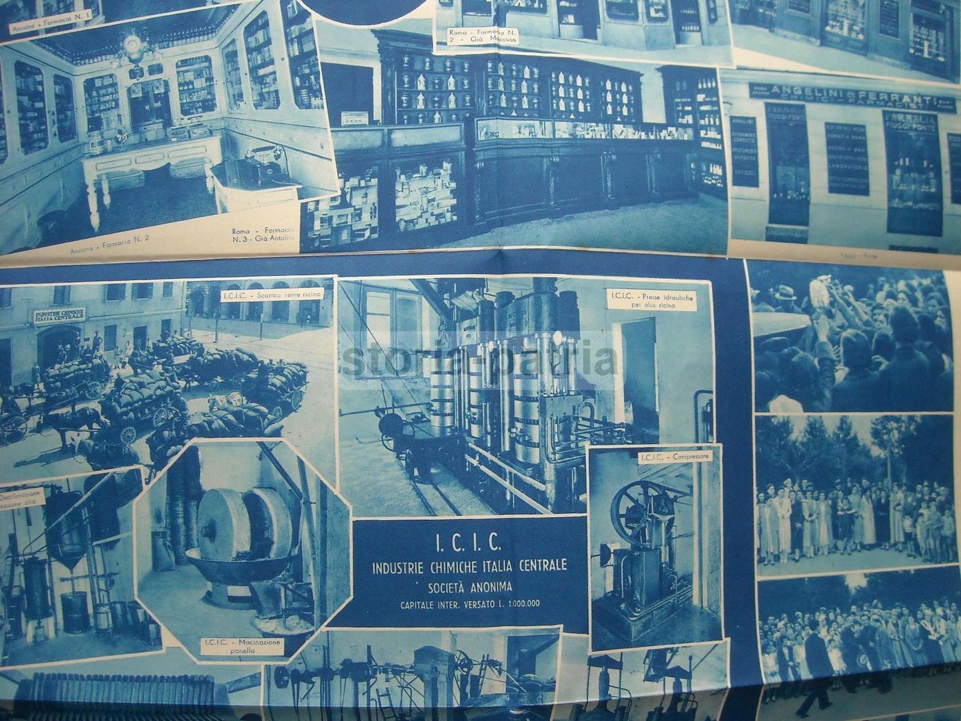 Pieghevole Pubblicitario Angelini & Ferranti, V Fiera Di Bari, Anni '30