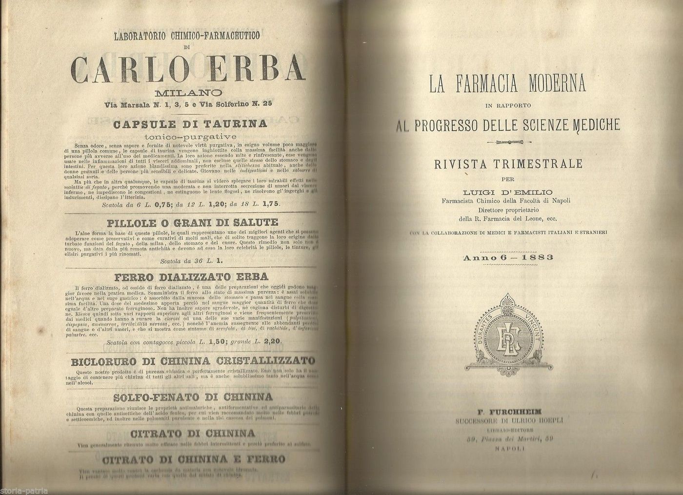 La Farmacia Moderna (1882 1883): Rivista Dell'Associazione Farmaceutica Di Napoli Diretta Da Luigi d'Emilio