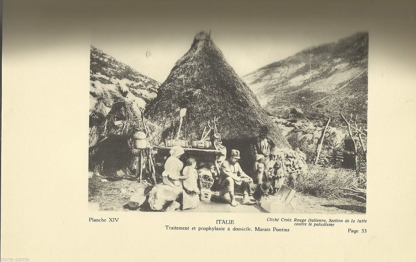 Chininum: Scriptiones Collectae 1924. Malaria E Chinino, Amsterdam