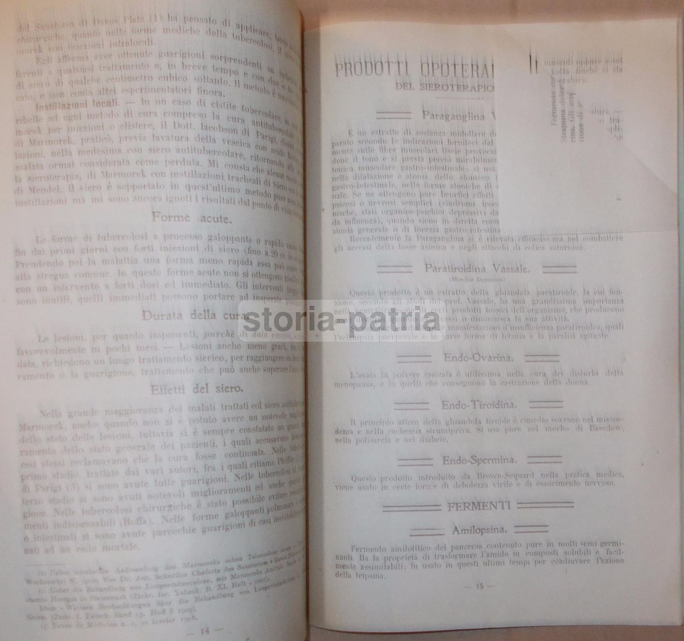 La Sanitaria Napoli 1910: Siero Marmorek, Sclavo, Farmacia E Medicina
