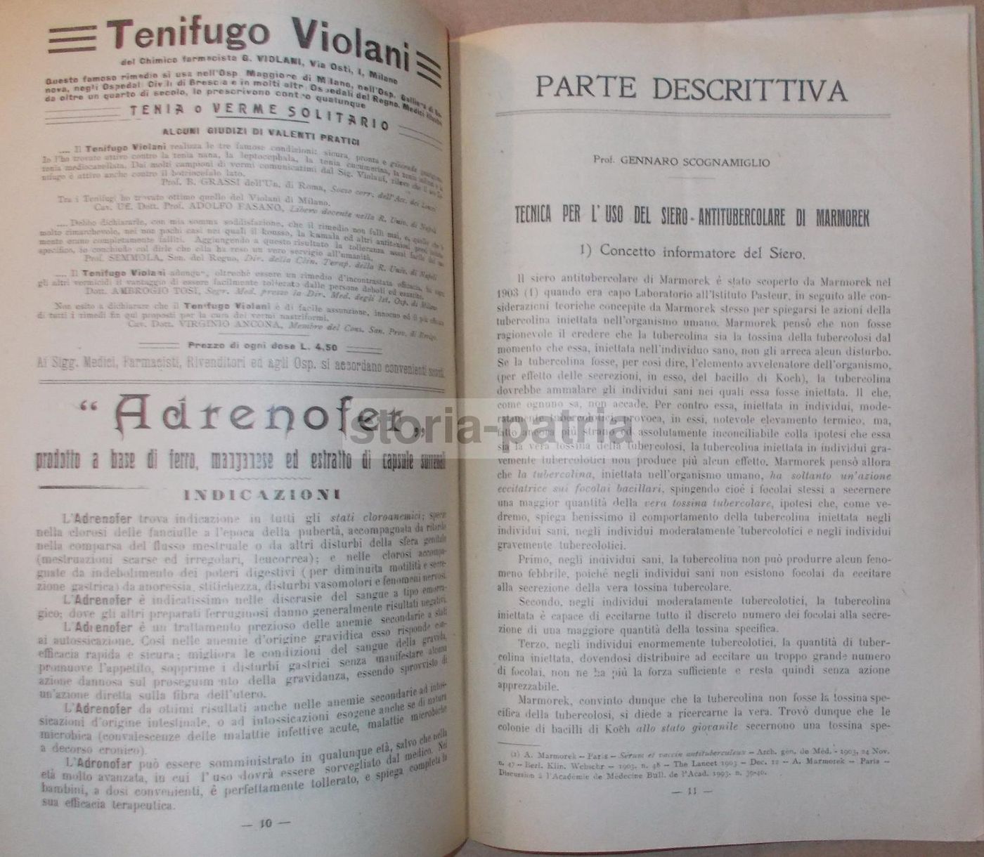 La Sanitaria Napoli 1910: Siero Marmorek, Sclavo, Farmacia E Medicina