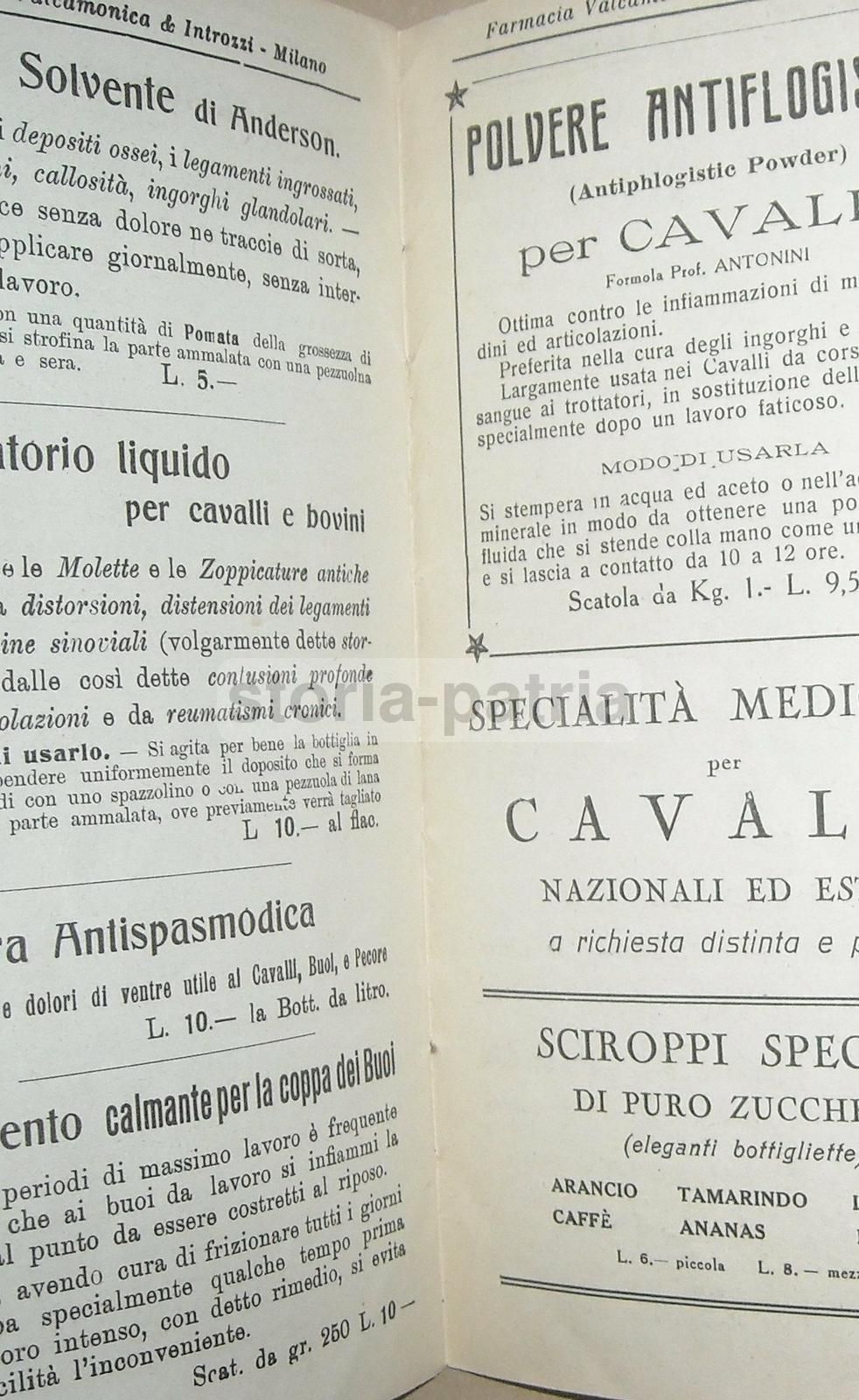 Il Consigliere Medico Delle Famiglie 1937: Farmacia Valcamonica