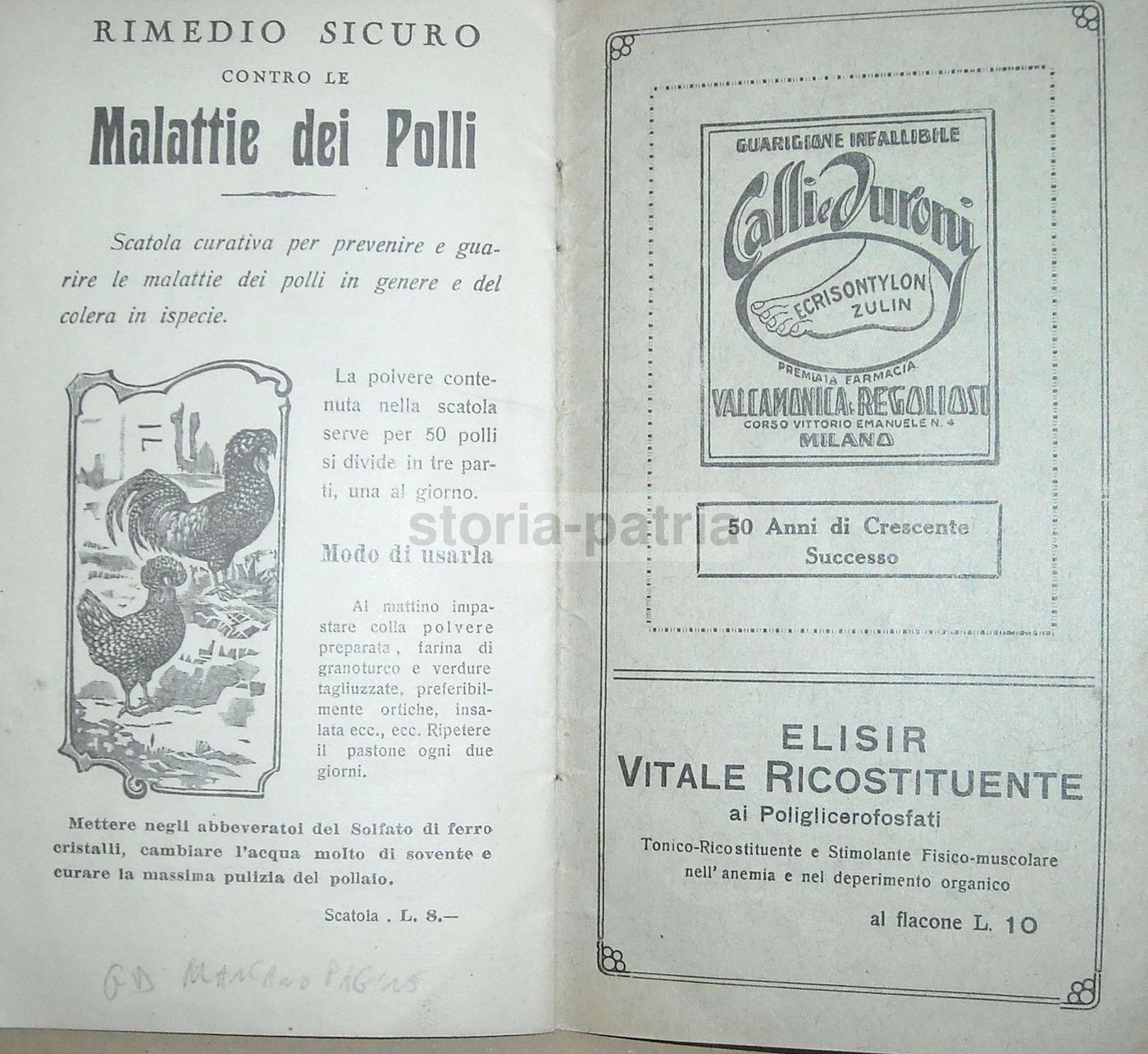 Il Consigliere Medico Delle Famiglie 1937: Farmacia Valcamonica