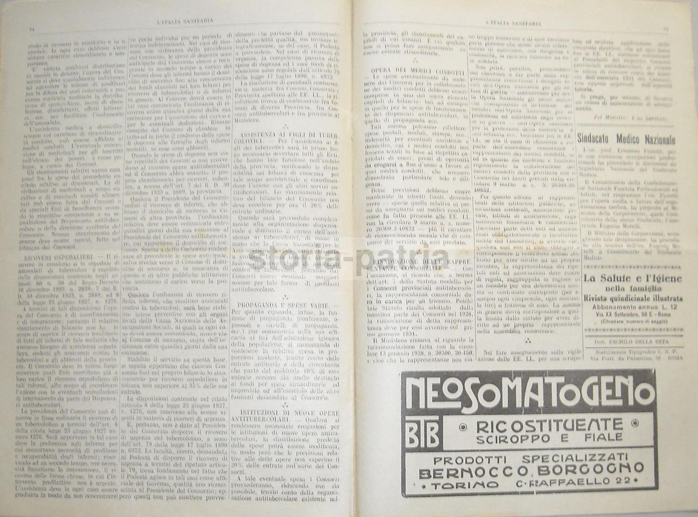 L'Italia Sanitaria 1931: Cinematografia, Igiene, Malaria, Emigrazione