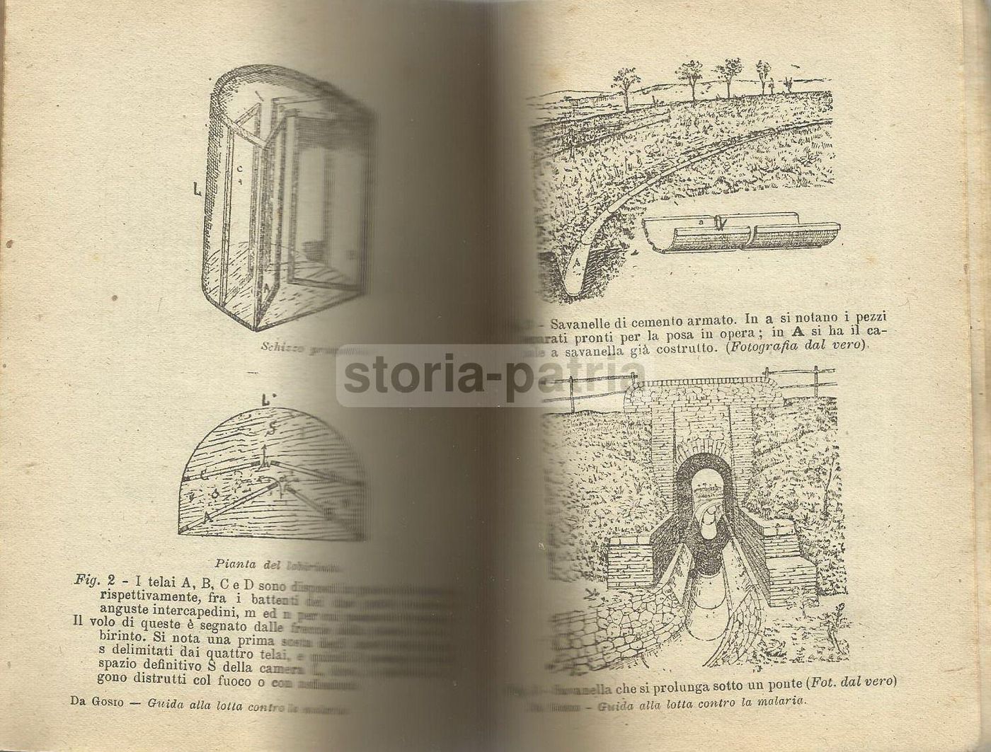 Studio Della Malaria In Italia, M. Gioseffi (1922)