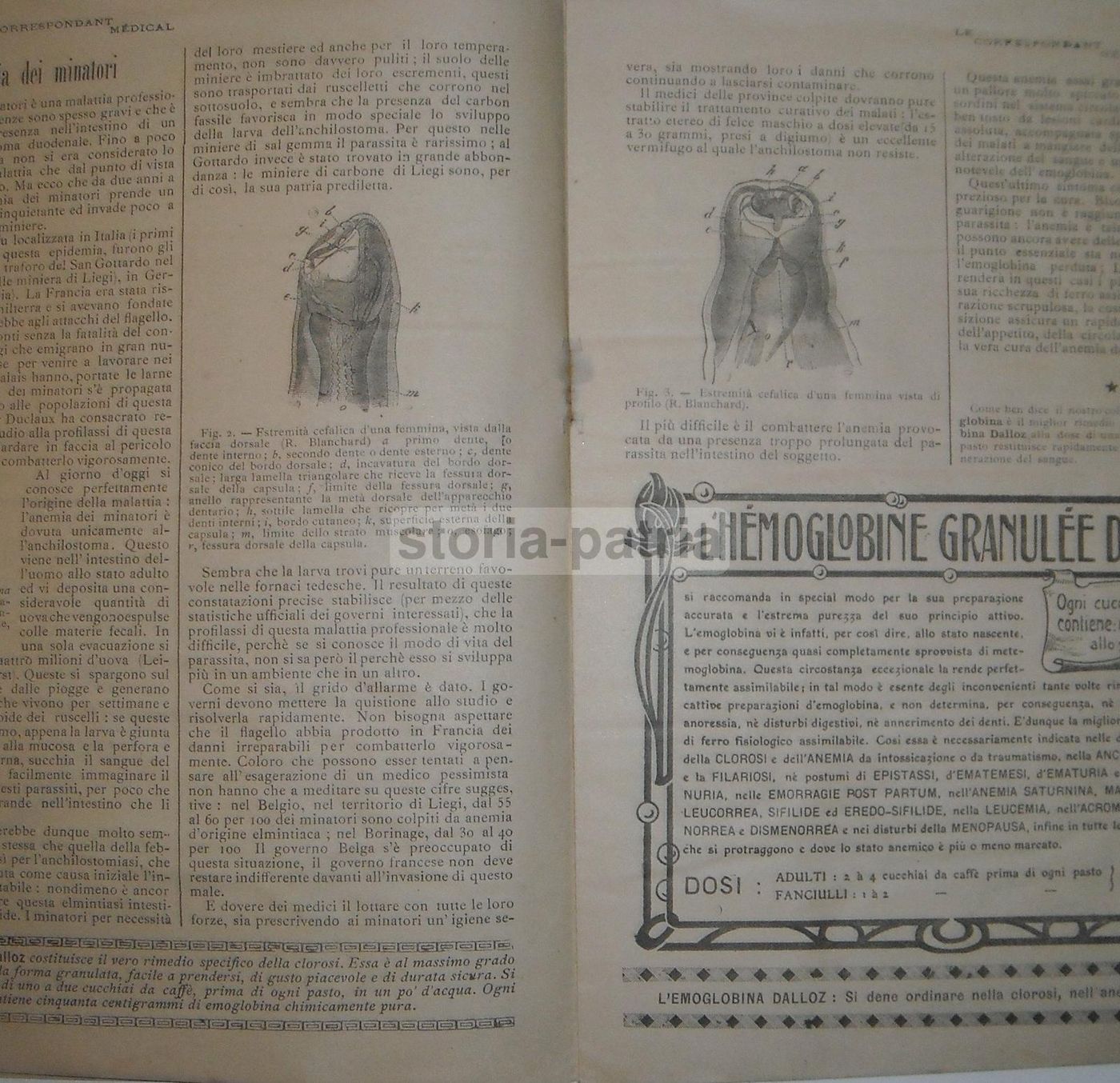 Le Correspondant Medical, N. 11 12, 1905: Businelli, Hayem, Neurastenia