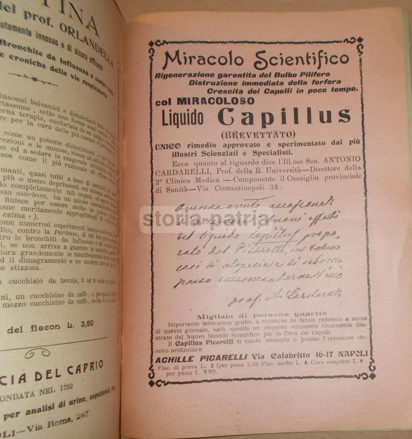 La Fisicoterapia Moderna Napoli 1910 Rivista Medica De Lisio